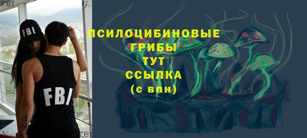 ALPHA PVP Елизово