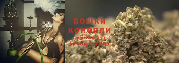 стаф Елабуга