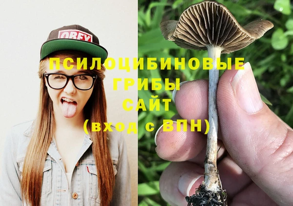 стаф Елабуга