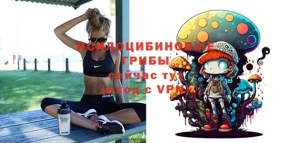 spice Ельня