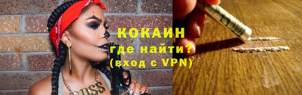 spice Ельня