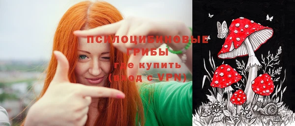 стаф Елабуга