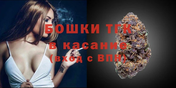 стаф Елабуга