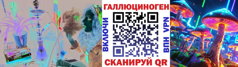 Купить  Каменка  Галлюциногенные грибы Cubensis 